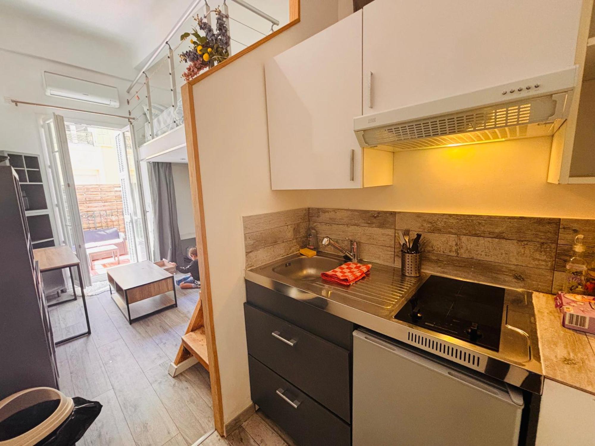 Appartement Berlioz Terrasse Nice